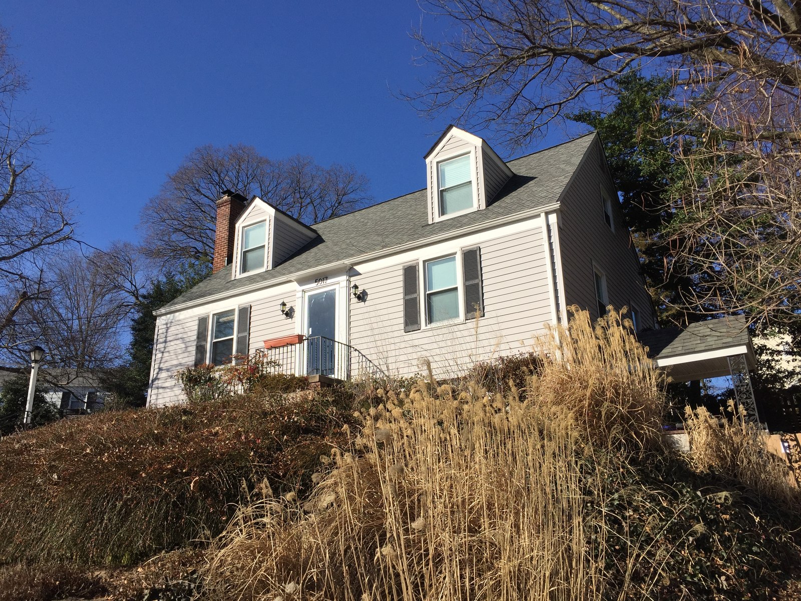 The front slope before, unretained and overgrown